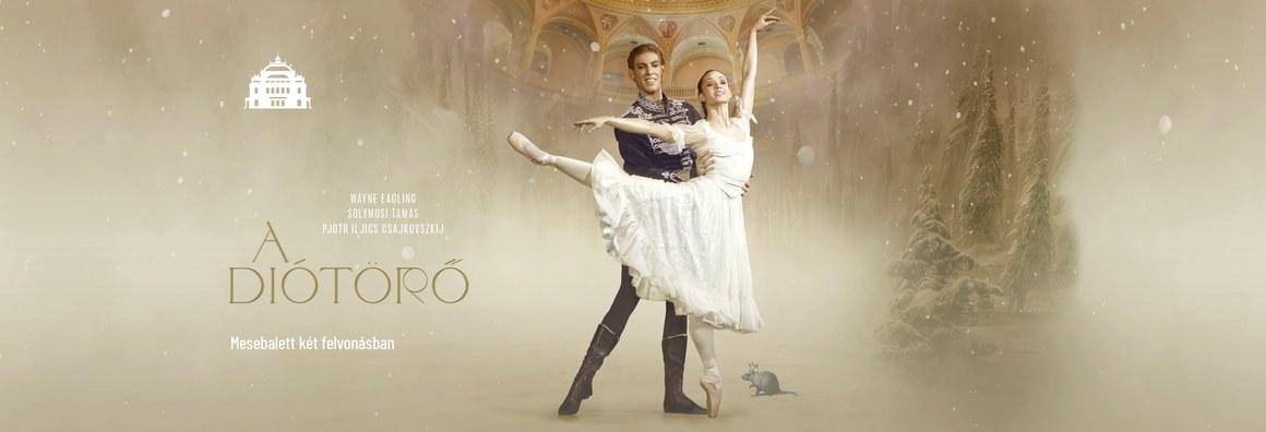 honlapforgato_Diotoro_2025_3800x1300px_TIPO_HUN